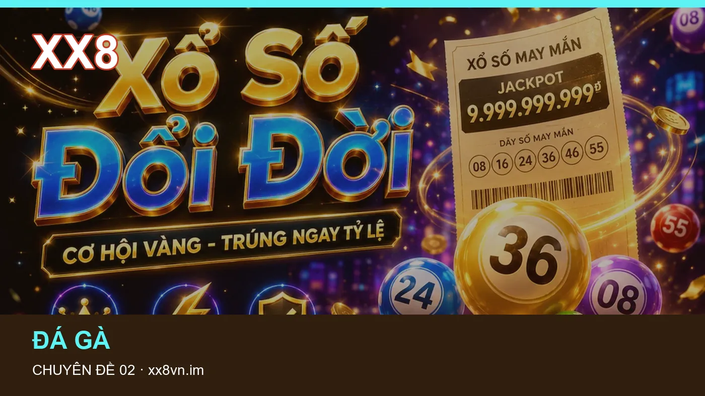 Hình minh họa bài viết XX8