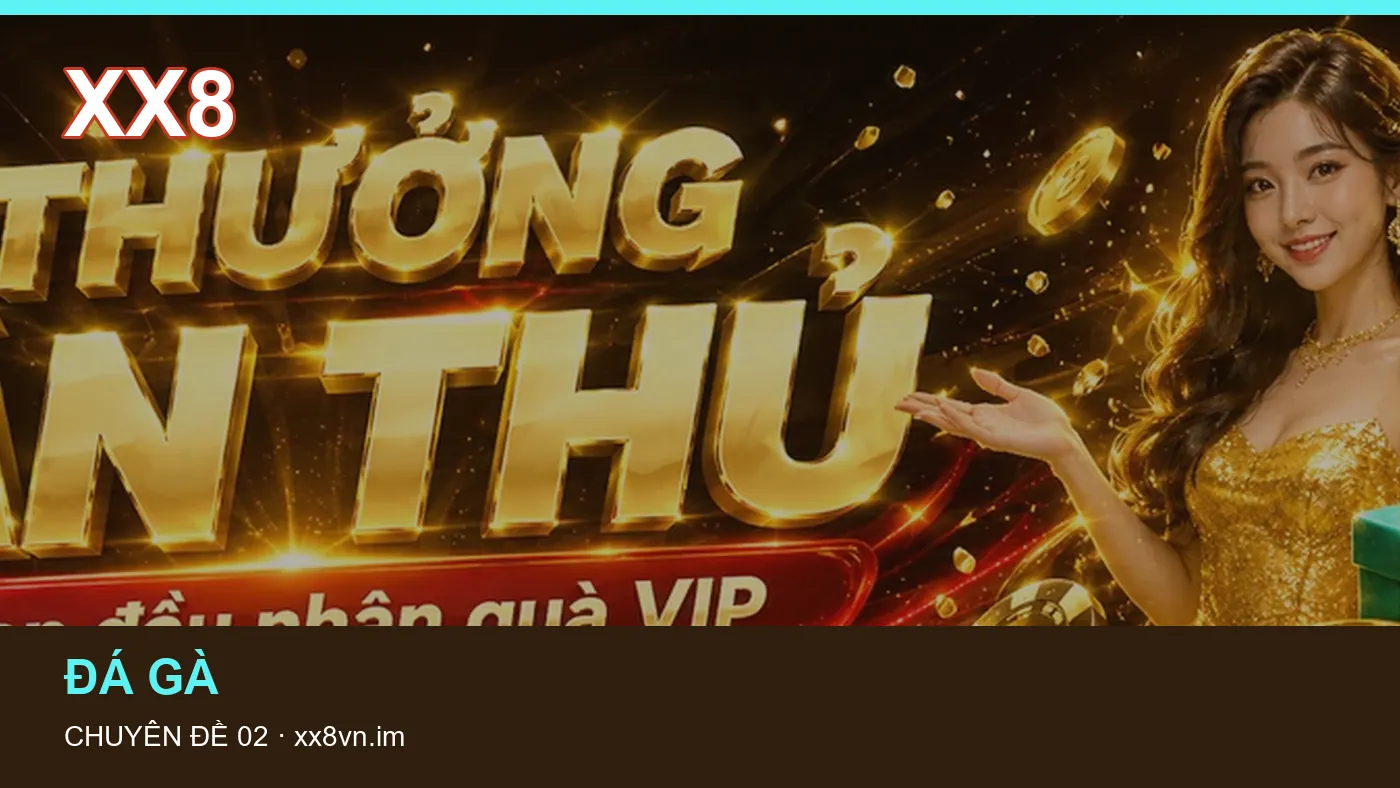 Hình minh họa bài viết XX8