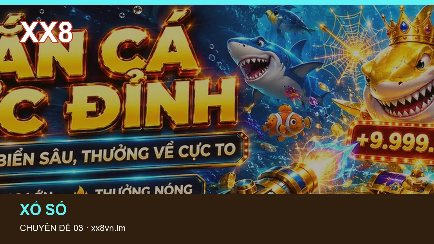 Hình minh họa bài viết XX8