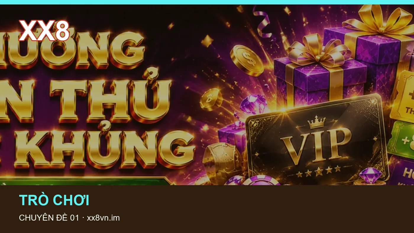 Hình minh họa bài viết XX8