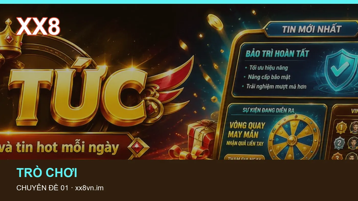 Hình minh họa bài viết XX8