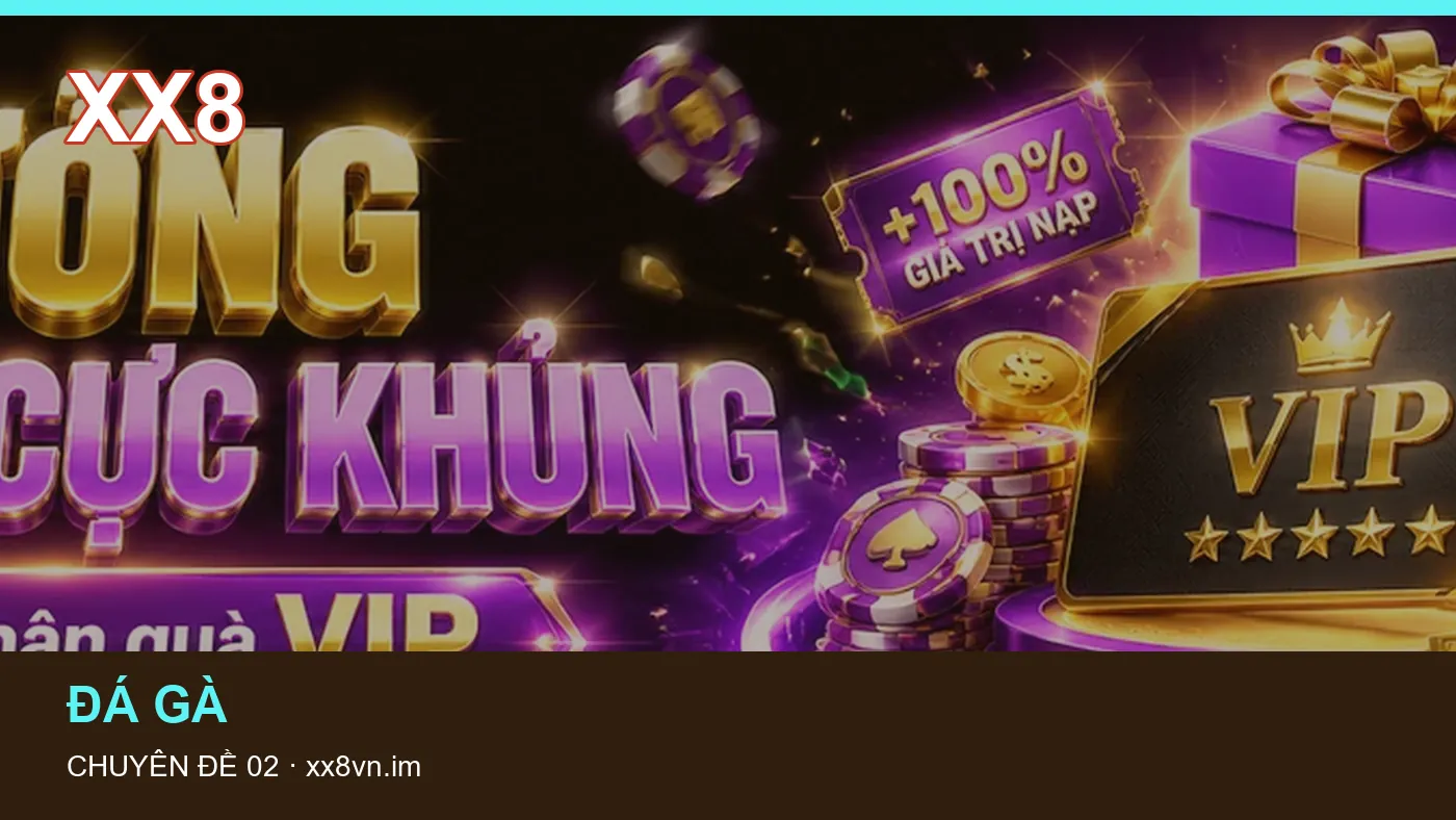 Hình minh họa bài viết XX8