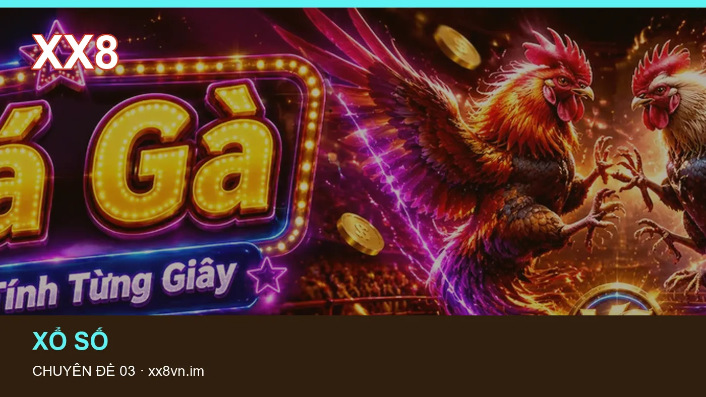 Hình minh họa bài viết XX8