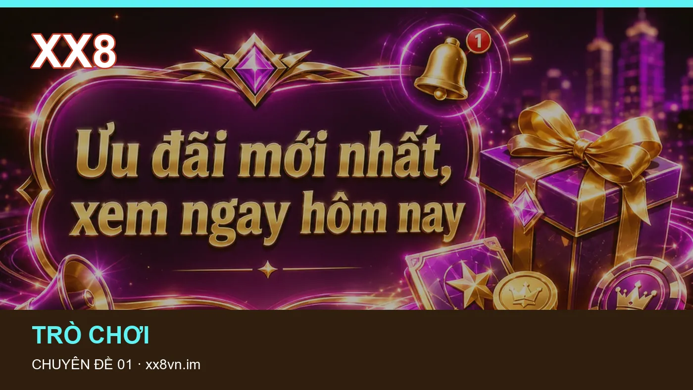 Hình minh họa bài viết XX8