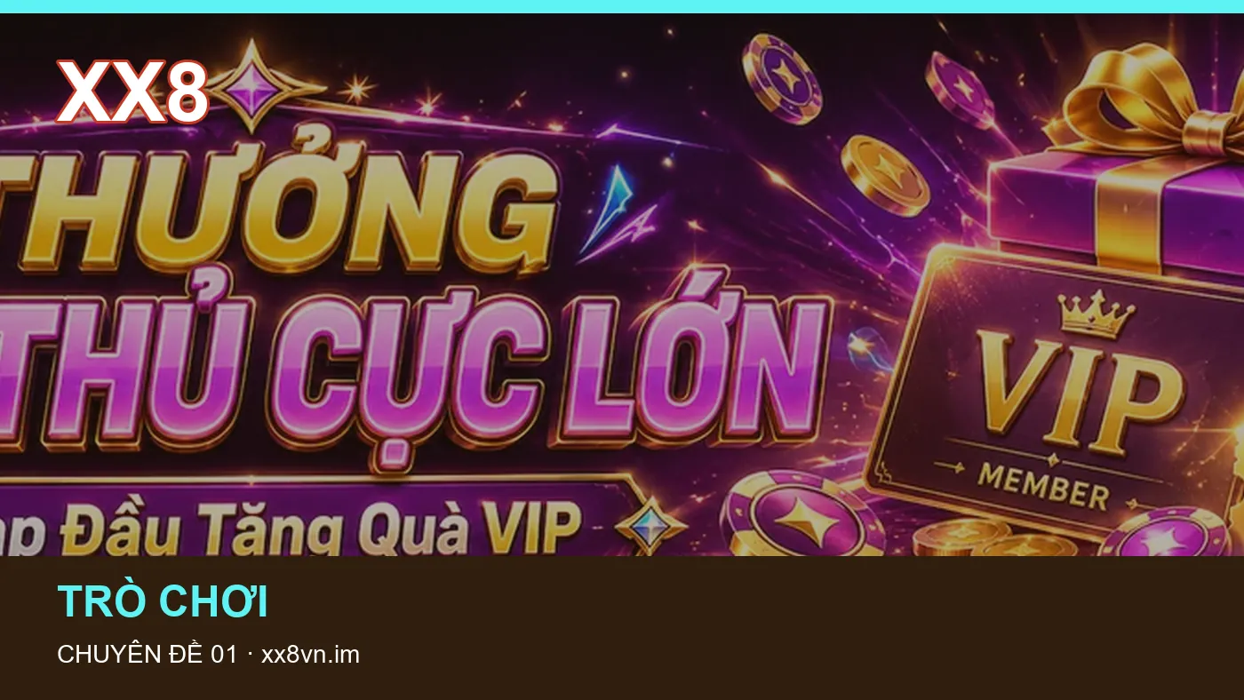 Hình minh họa bài viết XX8