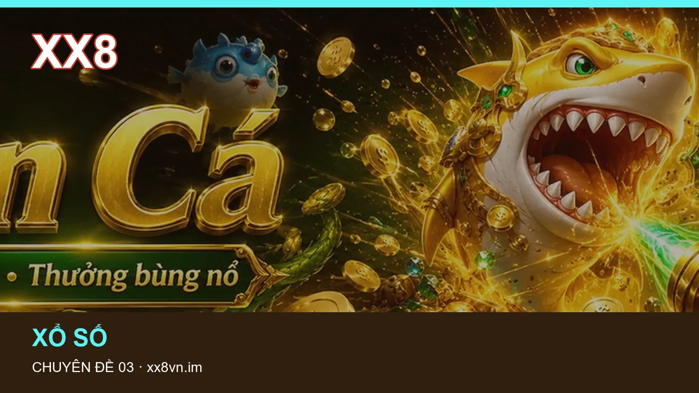 Hình minh họa bài viết XX8